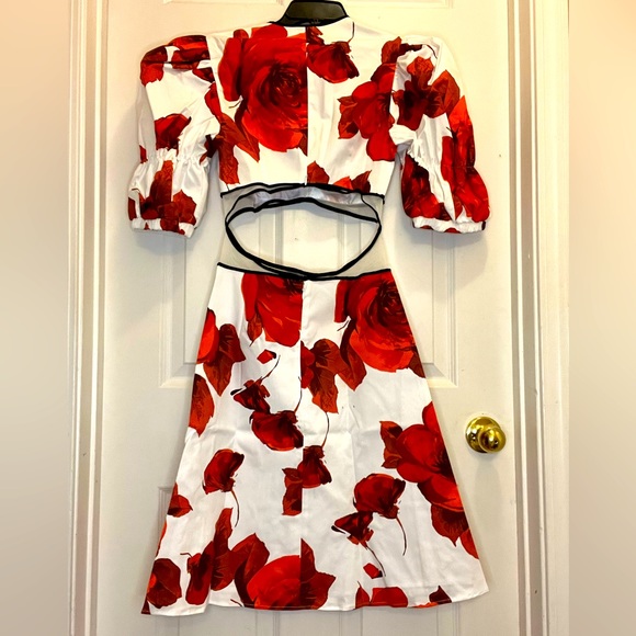 Autumn Adeigbo Gisele Red White Floral Cutout Dress NWT $625 - Picture 4 of 14